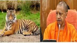 दुधवा नेशनल पार्क में 3 बाघों की मौत पर CM योगी सख्त, जांच कर रिपोर्ट सौंपने का दिया निर्देश