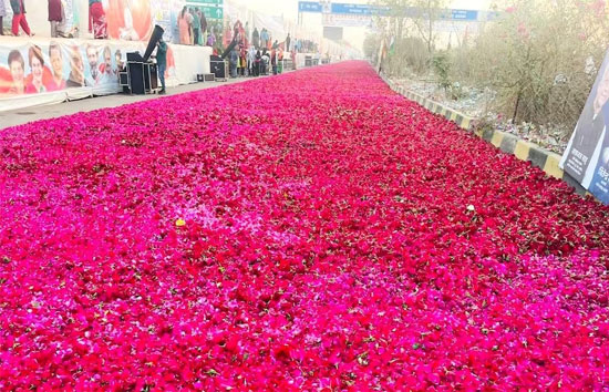 छत्तीसगढ़ : 85वें महाधिवेशन में रायपुर पहुंची प्रियंका गांधी के स्वागत में सड़क पर बिछाइ गई  गुलाब परत की मोती पंखुड़ियां