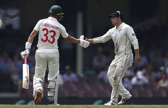 न्यूजीलैंड में 2 टेस्ट मैच खेलेगी ऑस्ट्रेलिया, 2016 के बाद पहली बार कीवी टीम करेगी मेजबानी