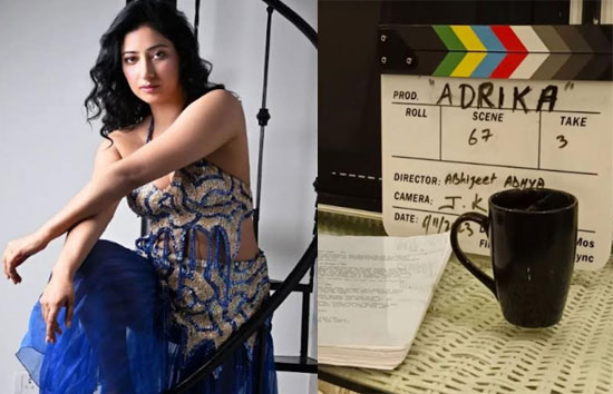 निहारिका रायज़ादा अब मलयालम सिनेमा में डेब्यू करने के लिए तैयार 