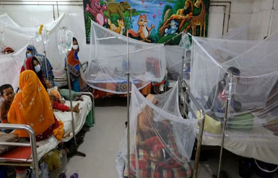 बांग्लादेश में डेंगू 778 लोगों की मौत, 1,57,172 लोग बीमार