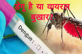 डेंगू और वायरल फीवर में जानें - अंतर 