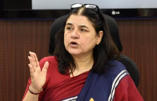 3 लाख कुत्तों के लिए कितने शेल्टर होम, देखरेख के लिए चाहिए डेढ़ लाख लोग...मेनका गांधी ने उठाए प्रश्न 
