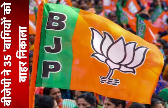 मध्य प्रदेश विधानसभा चुनाव : बगावत करने वाले 35 नेताओं को बीजेपी ने छह साल के लिए किये निष्कासित 