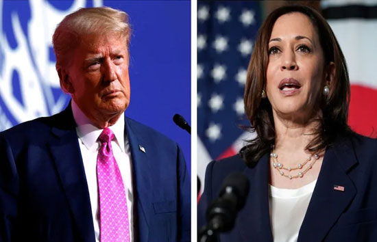 अमेरिकी राष्ट्रपति चुनाव : एडवांस वोटिंग में 3 करोड़ लोगों ने डाला वोट, जानें-ट्रंप और हैरिस किसका दबदबा 