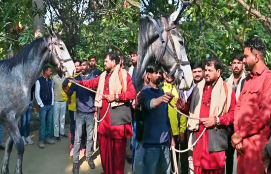 बृजभूषण सिंह को गिफ्ट में मिला घोड़ा, कीमत सुन उड़ जाएंगे होश  