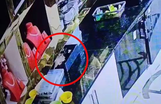 10 लाख का हीरा लेकर चंपत हुआ चूहा! ज्वैलरी शॉप का यह हैरान करने वाला वीडियो सोशल मीडिया पर वायरल