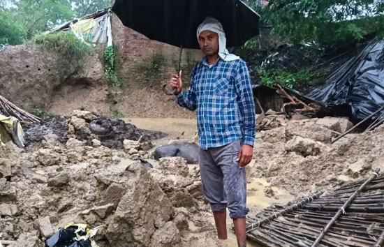 हरदोई में बारिश का तांडव: 11 साल की बच्ची की दर्दनाक मौत, दीवार ढहने से मलबे में दबीं 4 भैंसें; 6 घायल