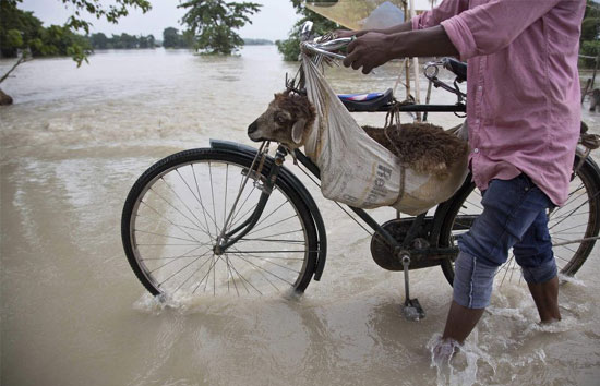 उत्तर प्रदेश के सभी तटबंध सुरक्षित, अब तक 6.3 मिमी औसत हुई वर्षा : राहत आयुक्त